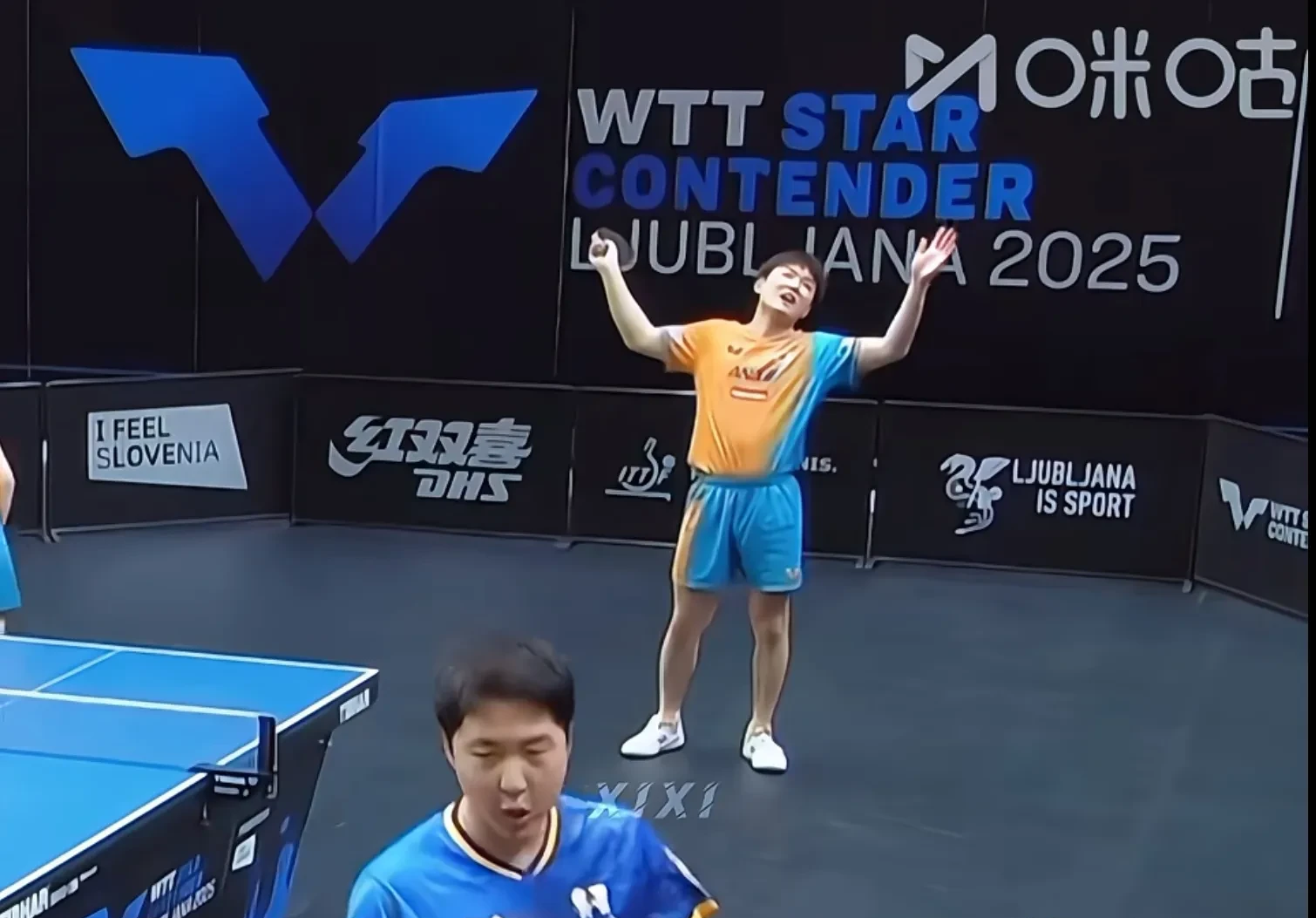 葡萄牙队轻取奥地利队,张本智和惊艳四座 葡萄牙队轻取奥地利队,张本智和惊艳四座