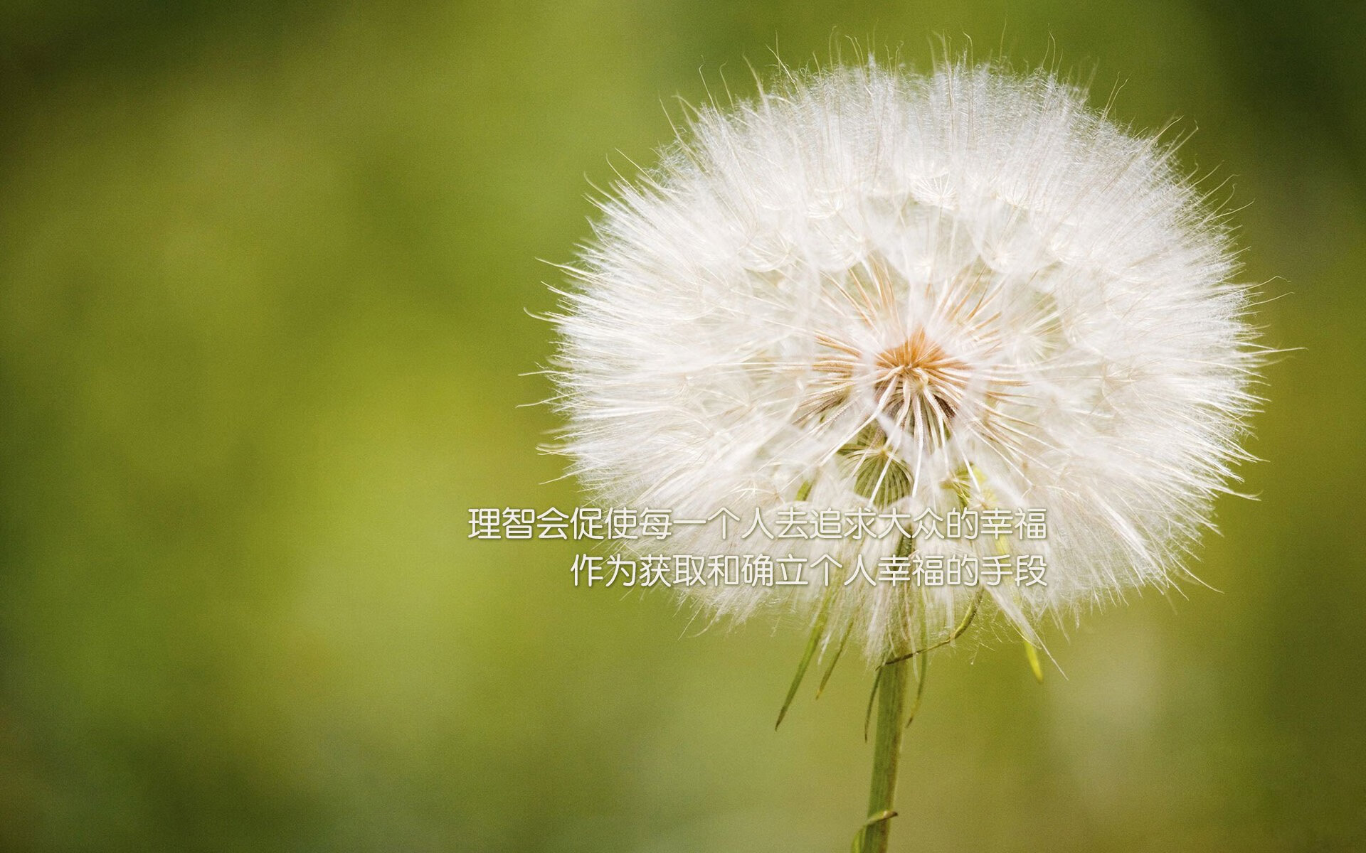 为何我们总为绝境翻盘热泪盈眶?从骑士翻盘浙江队看竞技体育的不朽魅力