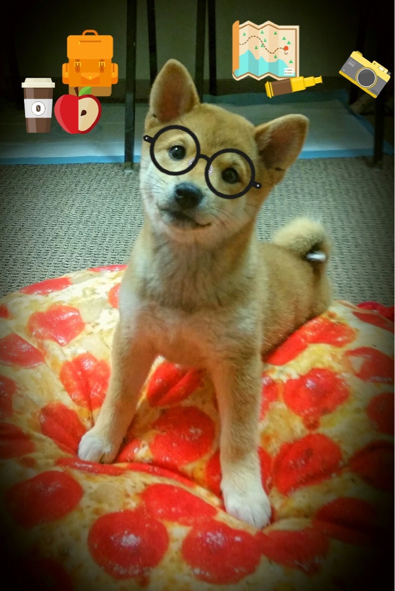 紫禁城的雪落进盐湖城,胡金秋如何用东方篮球的顿挫,瓦解了爵士的速度美学