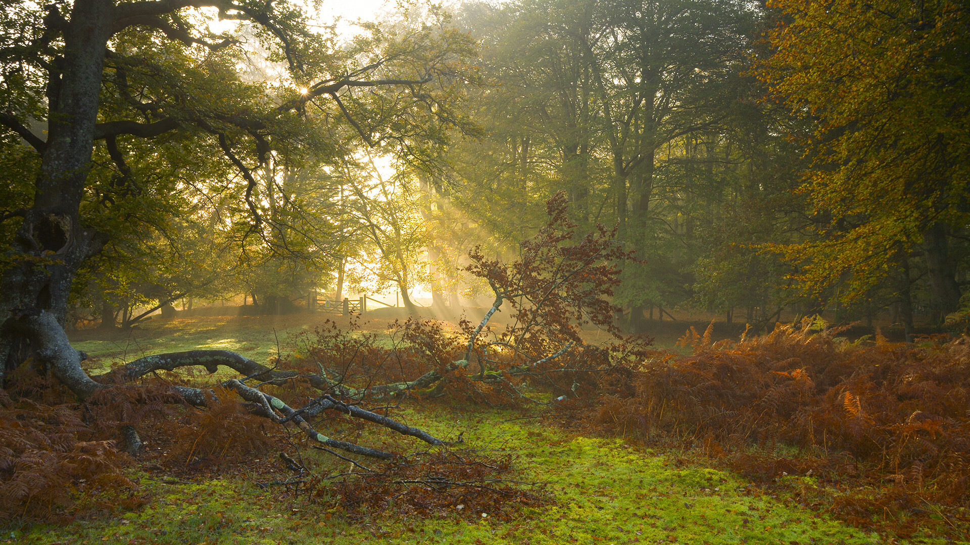 团队碾压与个人闪耀，当丹麦铁骑遇见天才李梓嘉