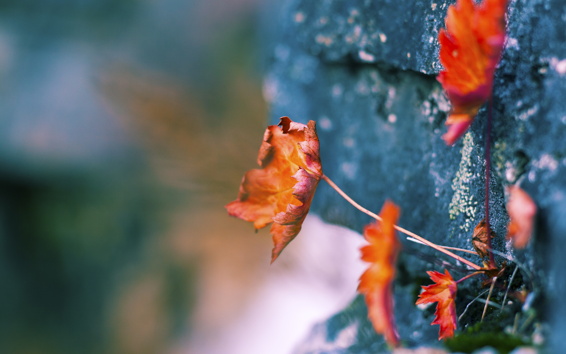 杰伦格林狂飙如利刃出鞘，火箭以团队为定海神针轻取新疆