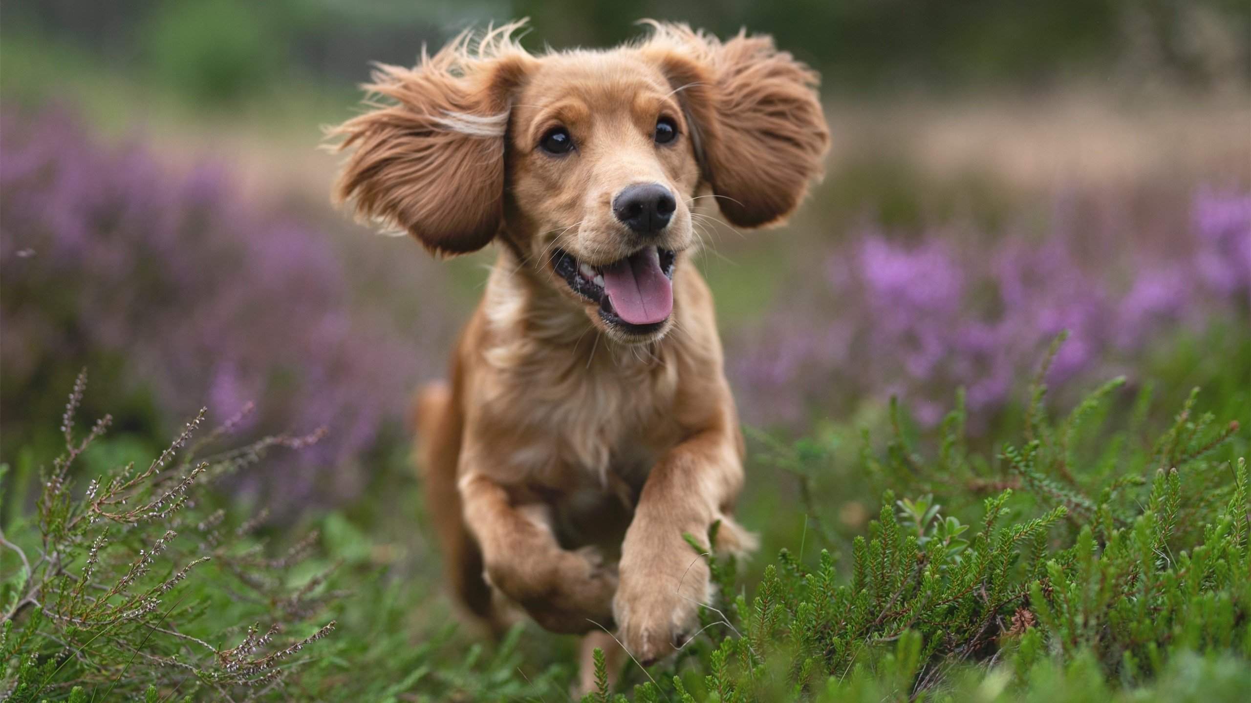 孤星破铁壁，伊萨克用北欧神话对抗瑞士钟表