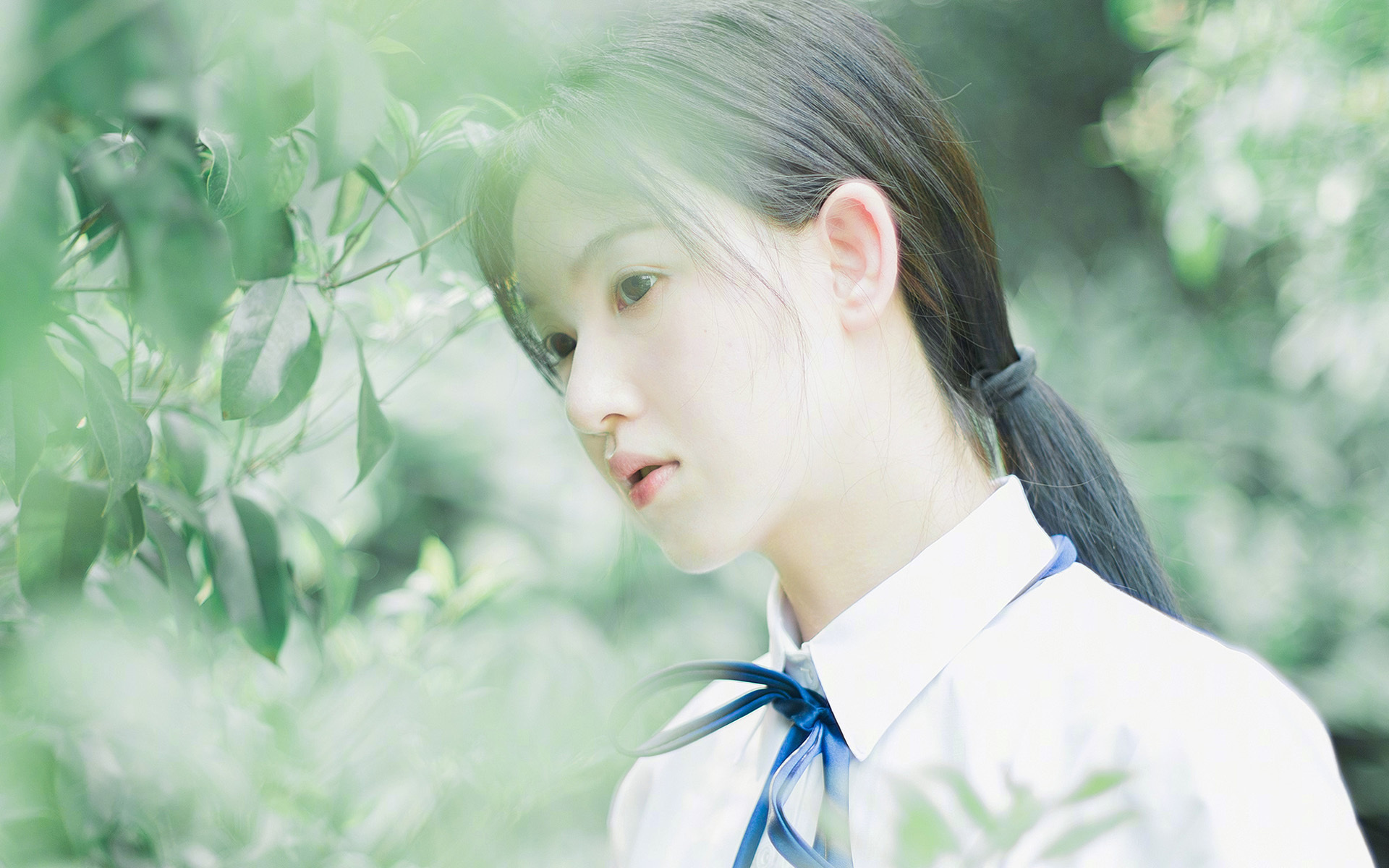 圣城新王降临,华盛顿青年军破网—篮球世界的双重悬念终结夜