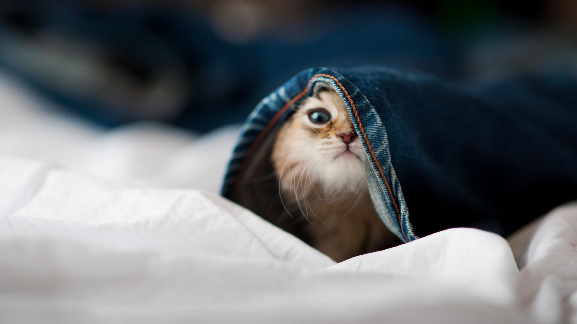 英雄还是罪人?赛后拉文的独自更衣室