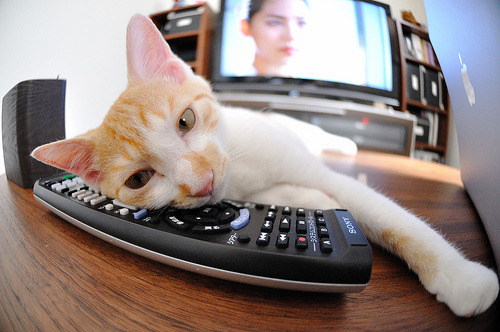 爱游戏官方-德甲争冠焦点战，雄鹰巅峰对决力克矿工，悬念终现曙光