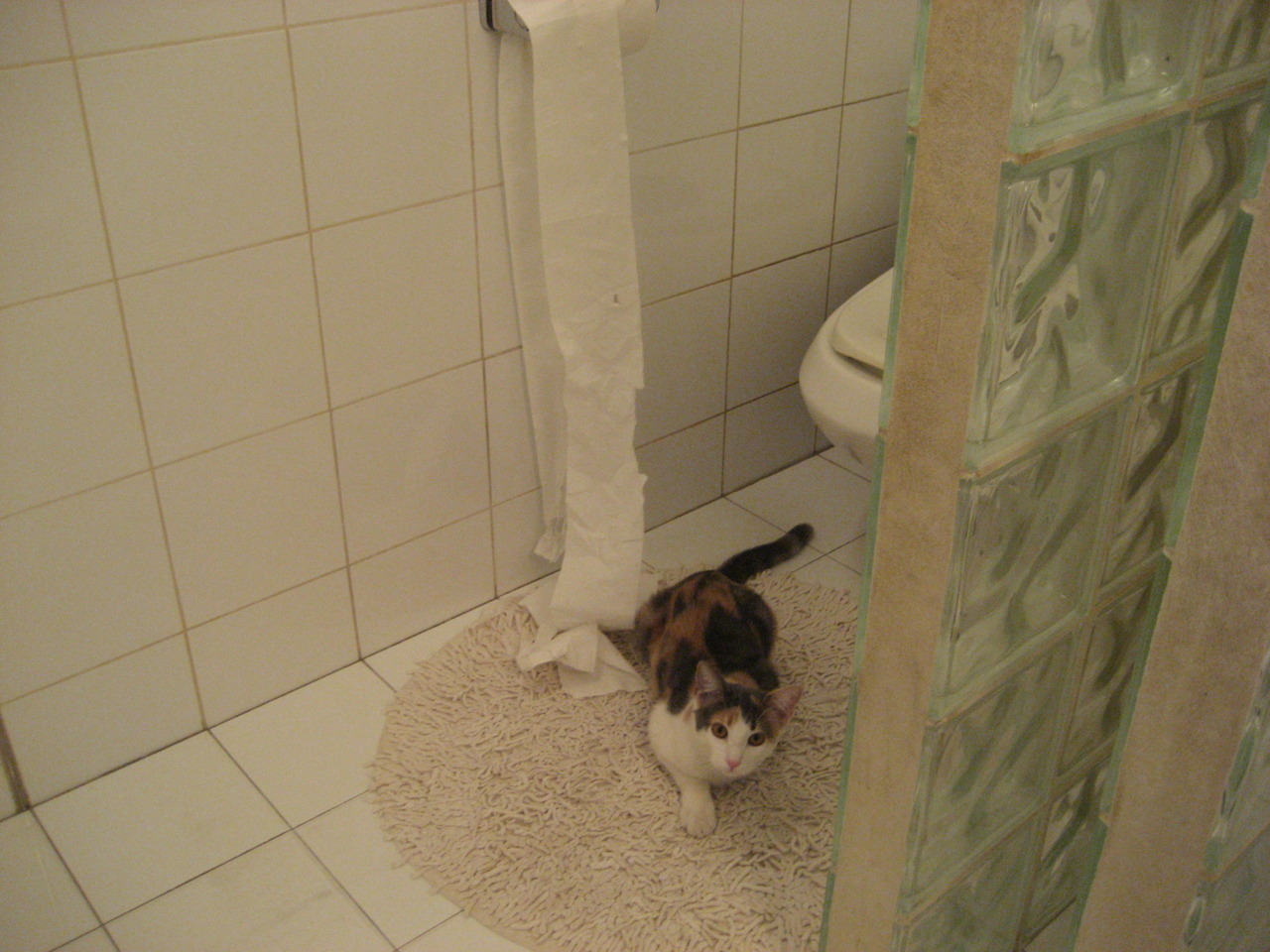 峡谷中的风暴，鹈鹕卷土重来，福克斯在勇士坟场加冕为新王