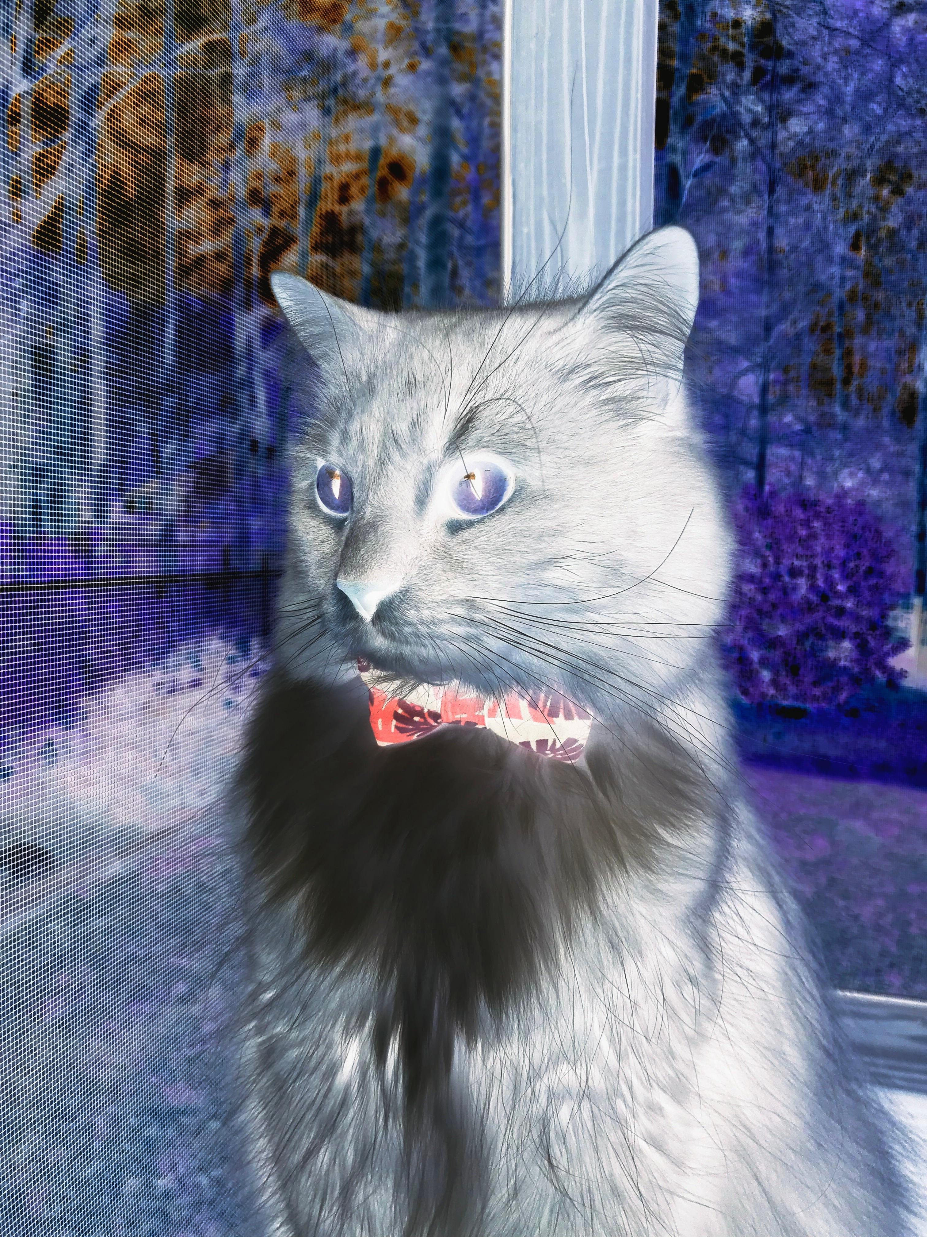 终结与证明，当莱万击穿宿命，毕尔巴鄂为欧洲立碑