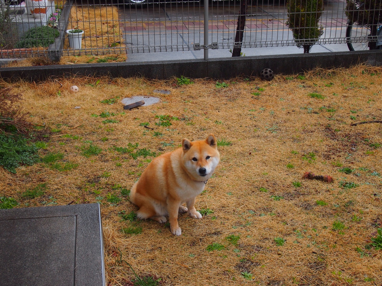 双城记,维尼修斯致命一击与曼城压哨绝杀—绿茵场上的终极心理博弈