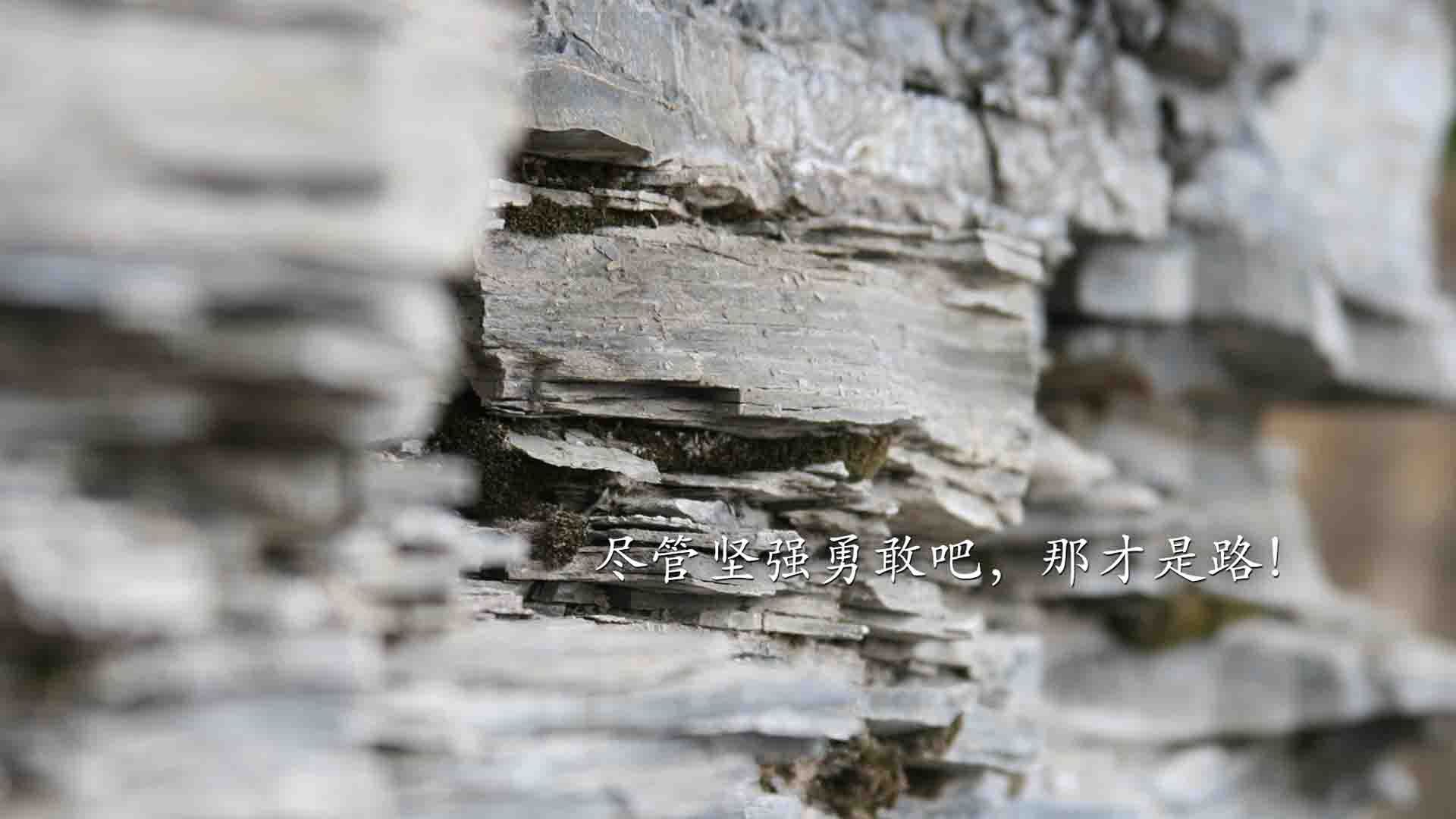 1.战地箴言B组漩涡,凯恩如何用一粒进球,为波兰队撕开厄瓜多尔的南美铁幕?