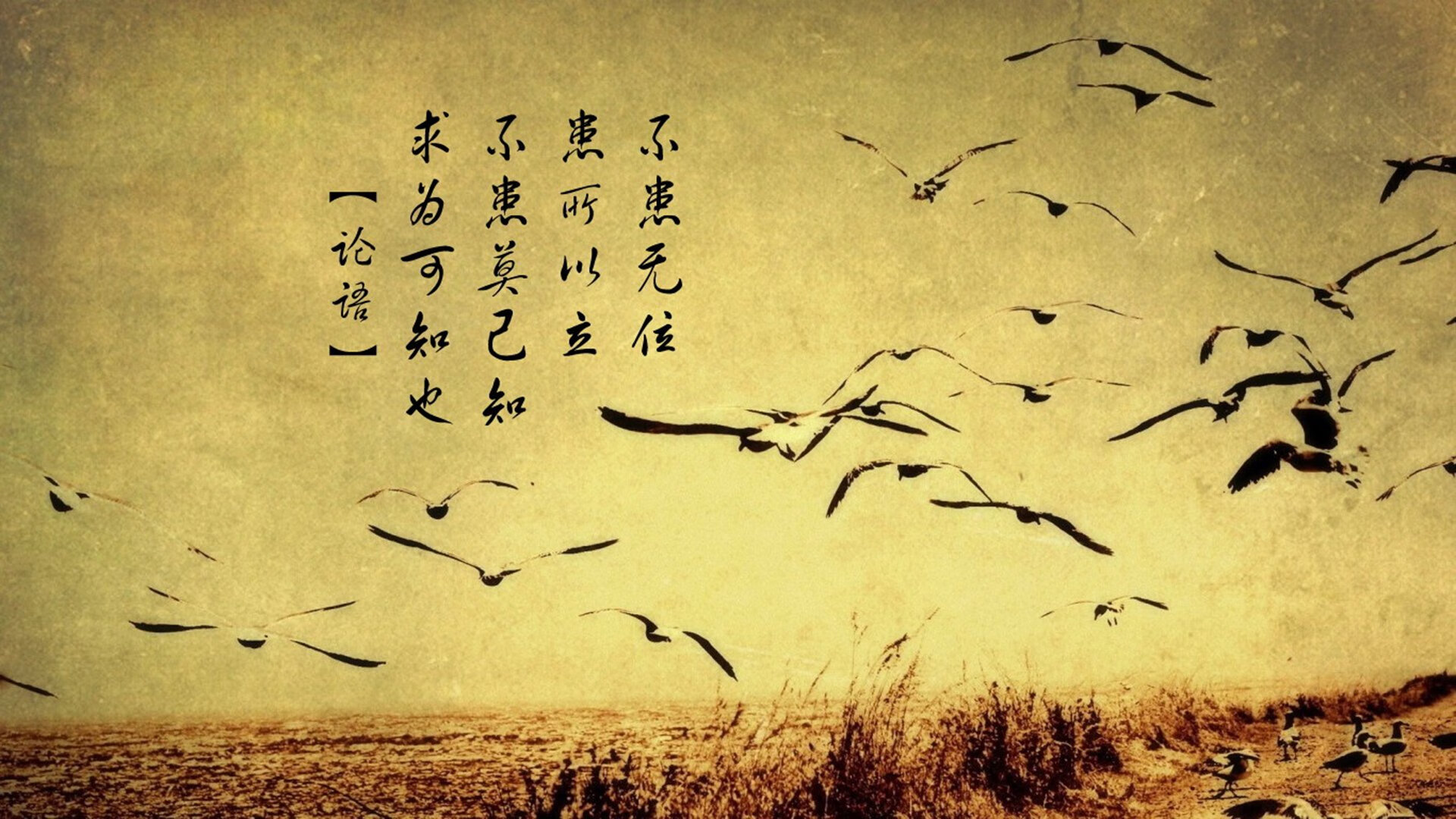 冷风呼啸,2026世界杯C组,日本如何用纪律压制德国,阿方索·戴维斯一人撕裂亚洲防线