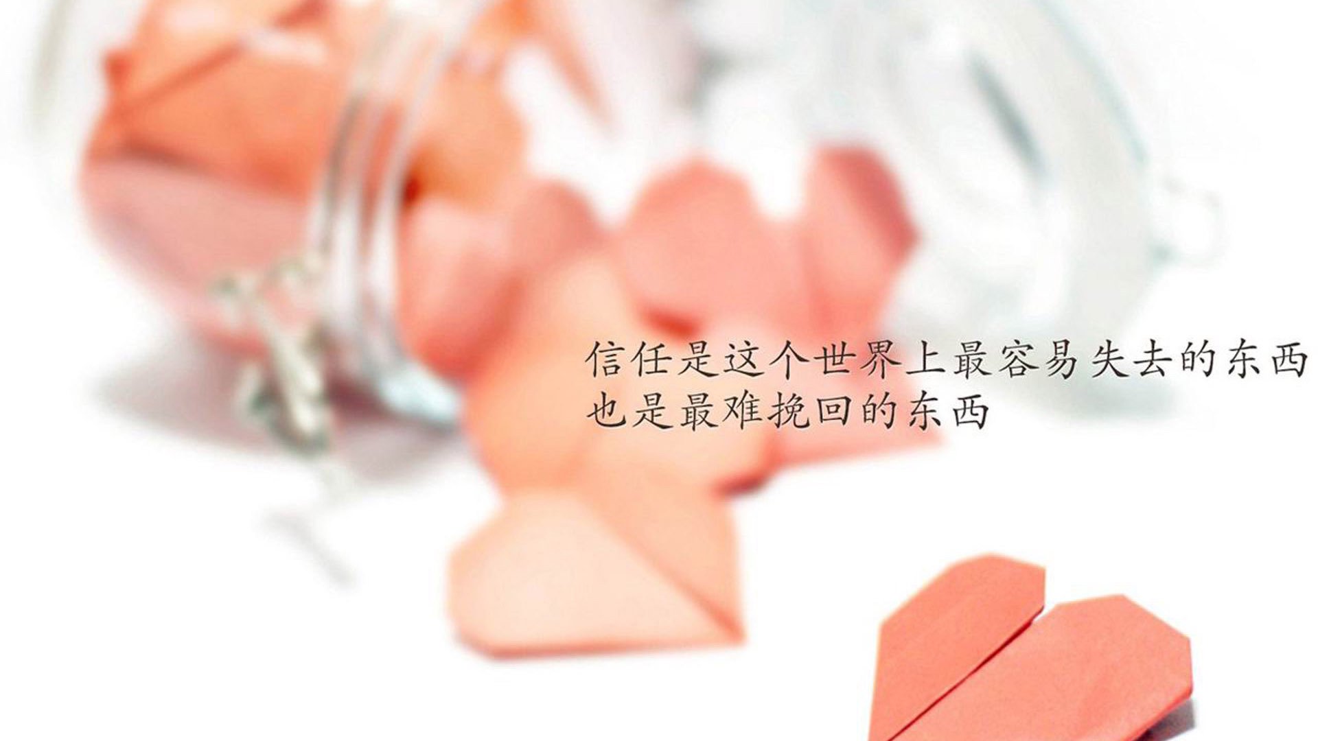 沙漠之狐的黄昏救赎,2026世界杯,卢卡库独裁禁区,改写卡塔尔与伊拉克的宿命之夜